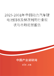 2025-2031年中國動力汽車鋰電池回收及梯次利用行業(yè)現(xiàn)狀與市場前景報告