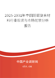 2025-2031年中國酚醛復合材料行業(yè)現(xiàn)狀與市場前景分析報告