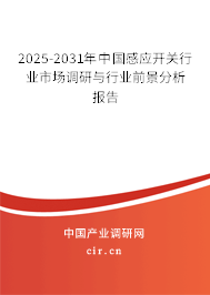 2025-2031年中國感應(yīng)開關(guān)行業(yè)市場(chǎng)調(diào)研與行業(yè)前景分析報(bào)告