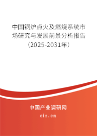 中國鍋爐點火及燃燒系統(tǒng)市場研究與發(fā)展前景分析報告（2025-2031年）