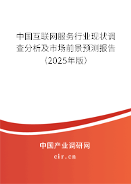 中國(guó)互聯(lián)網(wǎng)服務(wù)行業(yè)現(xiàn)狀調(diào)查分析及市場(chǎng)前景預(yù)測(cè)報(bào)告（2025年版）