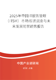2025年中國IT服務(wù)管理（ITSM）市場現(xiàn)狀調(diào)查與未來發(fā)展前景趨勢報告