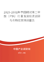 2025-2031年中國(guó)精對(duì)苯二甲酸（PTA）行業(yè)發(fā)展現(xiàn)狀調(diào)研與市場(chǎng)前景預(yù)測(cè)報(bào)告