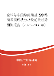 全球與中國聚氨酯基透水路面發(fā)展現(xiàn)狀分析及前景趨勢預測報告（2025-2031年）