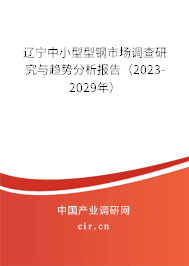 遼寧中小型型鋼市場調(diào)查研究與趨勢分析報告（2023-2029年）