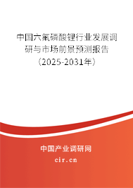 中國六氟磷酸鋰行業(yè)發(fā)展調(diào)研與市場前景預測報告（2025-2031年）