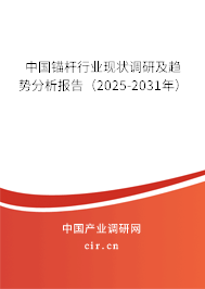中國錨桿行業(yè)現(xiàn)狀調(diào)研及趨勢分析報告（2025-2031年）