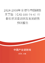 2024-2030年全球與中國硼酸三丁酯（CAS 688-74-4）行業(yè)現(xiàn)狀深度調(diào)研及發(fā)展趨勢預(yù)測報(bào)告