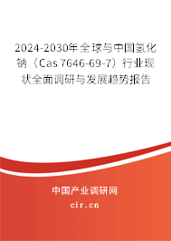 2024-2030年全球與中國氫化鈉（Cas 7646-69-7）行業(yè)現(xiàn)狀全面調(diào)研與發(fā)展趨勢報告