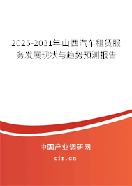 2025-2031年山西汽車租賃服務發(fā)展現狀與趨勢預測報告