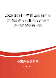 2025-2031年中國山西省新基建項目建設行業(yè)深度調研與發(fā)展前景分析報告