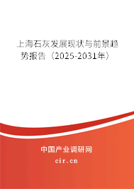 上海石灰發(fā)展現(xiàn)狀與前景趨勢報告（2025-2031年）