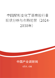 中國星形支化丁基橡膠行業(yè)現(xiàn)狀分析與市場前景（2024-2030年）