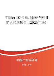 中國erp軟件市場調(diào)研與行業(yè)前景預測報告（2025年版）