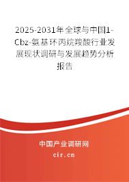 2025-2031年全球與中國1-Cbz-氨基環(huán)丙烷羧酸行業(yè)發(fā)展現(xiàn)狀調(diào)研與發(fā)展趨勢分析報告