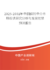 2025-2031年中國保險中介市場現(xiàn)狀研究分析與發(fā)展前景預(yù)測報告