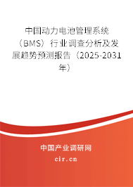 中國(guó)動(dòng)力電池管理系統(tǒng)（BMS）行業(yè)調(diào)查分析及發(fā)展趨勢(shì)預(yù)測(cè)報(bào)告（2025-2031年）
