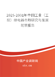 2025-2031年中國工業(yè)（工控）繼電器市場研究與發(fā)展前景報(bào)告