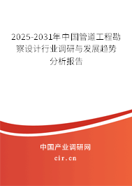 2025-2031年中國(guó)管道工程勘察設(shè)計(jì)行業(yè)調(diào)研與發(fā)展趨勢(shì)分析報(bào)告