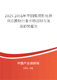 2025-2031年中國集成性電源供應(yīng)模塊行業(yè)市場調(diào)研與發(fā)展趨勢報告