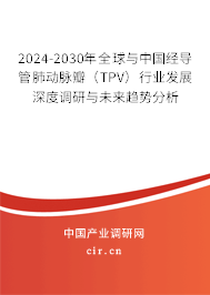 2024-2030年全球與中國經(jīng)導管肺動脈瓣（TPV）行業(yè)發(fā)展深度調(diào)研與未來趨勢分析