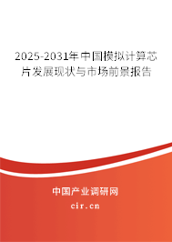 2025-2031年中國模擬計算芯片發(fā)展現(xiàn)狀與市場前景報告