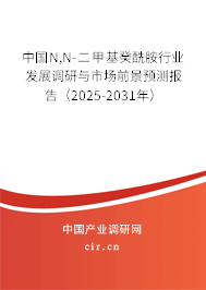 中國N,N-二甲基癸酰胺行業(yè)發(fā)展調(diào)研與市場(chǎng)前景預(yù)測(cè)報(bào)告（2025-2031年）