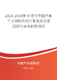 2024-2030年全球與中國汽車個人輔助系統(tǒng)行業(yè)發(fā)展深度調研與未來趨勢預測