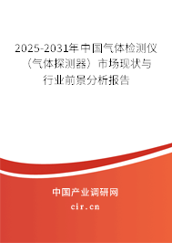 2025-2031年中國氣體檢測儀（氣體探測器）市場現狀與行業(yè)前景分析報告