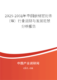2025-2031年中國嵌縫密封條（帶）行業(yè)調(diào)研與發(fā)展前景分析報告