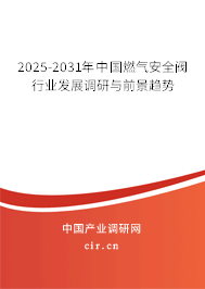 2025-2031年中國燃?xì)獍踩y行業(yè)發(fā)展調(diào)研與前景趨勢