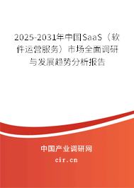 2025-2031年中國(guó)SaaS（軟件運(yùn)營(yíng)服務(wù)）市場(chǎng)全面調(diào)研與發(fā)展趨勢(shì)分析報(bào)告