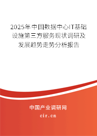 2025年中國數(shù)據(jù)中心IT基礎設施第三方服務現(xiàn)狀調(diào)研及發(fā)展趨勢走勢分析報告