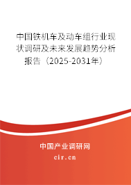 中國鐵機車及動車組行業(yè)現(xiàn)狀調(diào)研及未來發(fā)展趨勢分析報告（2025-2031年）