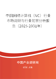 中國網(wǎng)絡(luò)計(jì)算機(jī)（NC）行業(yè)市場調(diào)研與行業(yè)前景分析報(bào)告（2025-2031年）
