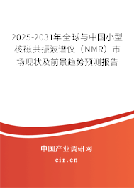 2025-2031年全球與中國(guó)小型核磁共振波譜儀（NMR）市場(chǎng)現(xiàn)狀及前景趨勢(shì)預(yù)測(cè)報(bào)告