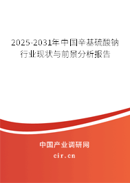 2025-2031年中國辛基硫酸鈉行業(yè)現(xiàn)狀與前景分析報(bào)告