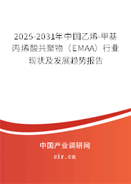 2025-2031年中國乙烯-甲基丙烯酸共聚物（EMAA）行業(yè)現(xiàn)狀及發(fā)展趨勢報告