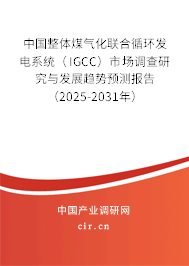 中國整體煤氣化聯(lián)合循環(huán)發(fā)電系統(tǒng)（IGCC）市場調(diào)查研究與發(fā)展趨勢預(yù)測報告（2025-2031年）