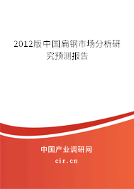 2012版中國扁鋼市場分析研究預(yù)測報(bào)告