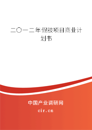 二〇一二年假肢項(xiàng)目商業(yè)計(jì)劃書