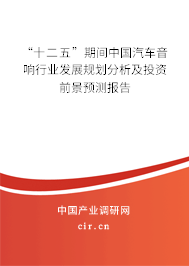 “十二五”期間中國汽車音響行業(yè)發(fā)展規(guī)劃分析及投資前景預(yù)測報告