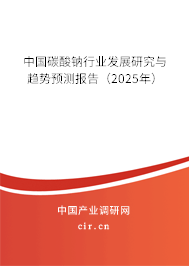 中國(guó)碳酸鈉行業(yè)發(fā)展研究與趨勢(shì)預(yù)測(cè)報(bào)告（2025年）