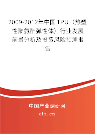 2009-2012年中國(guó)TPU（熱塑性聚氨酯彈性體）行業(yè)發(fā)展前景分析及投資風(fēng)險(xiǎn)預(yù)測(cè)報(bào)告