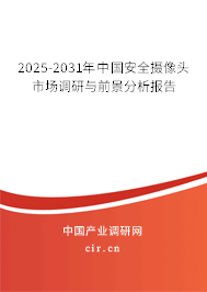 2025-2031年中國安全攝像頭市場調(diào)研與前景分析報告