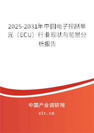 2025-2031年中國電子控制單元（ECU）行業(yè)現(xiàn)狀與前景分析報告