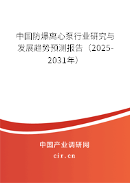 中國防爆離心泵行業(yè)研究與發(fā)展趨勢預(yù)測報告（2025-2031年）