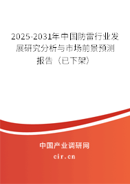 2025-2031年中國防雷行業(yè)發(fā)展研究分析與市場前景預(yù)測報(bào)告（已下架）