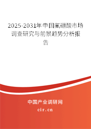 2025-2031年中國氟硼酸市場調(diào)查研究與前景趨勢分析報告