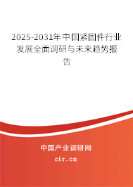 2025-2031年中國(guó)緊固件行業(yè)發(fā)展全面調(diào)研與未來(lái)趨勢(shì)報(bào)告